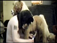 Cuckold funny videos-It's Not What It Looks Like