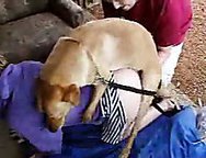HUBBY HELP DOG FUCK WIFE