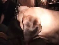 Animal Sex- Rrivate vids my wife fuck our dog on webcam