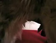 A bestiality amateur WIFE fucked by a dog or my wife sex with dog