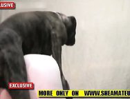Offer to get satisfaction by the fuck of a dog