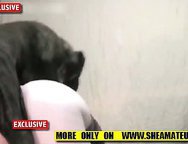 Offer to get satisfaction by the fuck of a dog