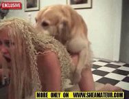 A slut wife forced to fuck with a dog-At the beginning of this animal sex video,