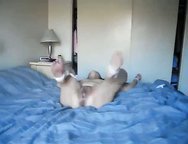 Chinese milf wife loves bondage and domination games in bed